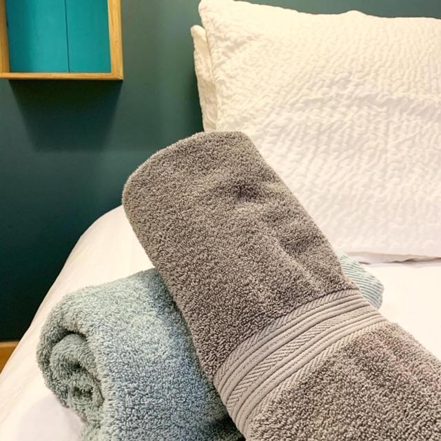 Au Cheval Blanc - Appartements Et Chambres D'Hotes アルベールヴィル エクステリア 写真