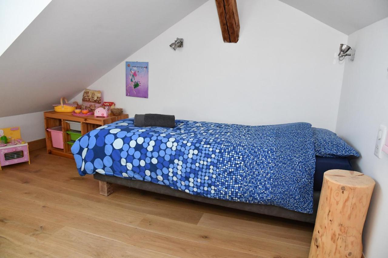 Au Cheval Blanc - Appartements Et Chambres D'Hotes アルベールヴィル エクステリア 写真