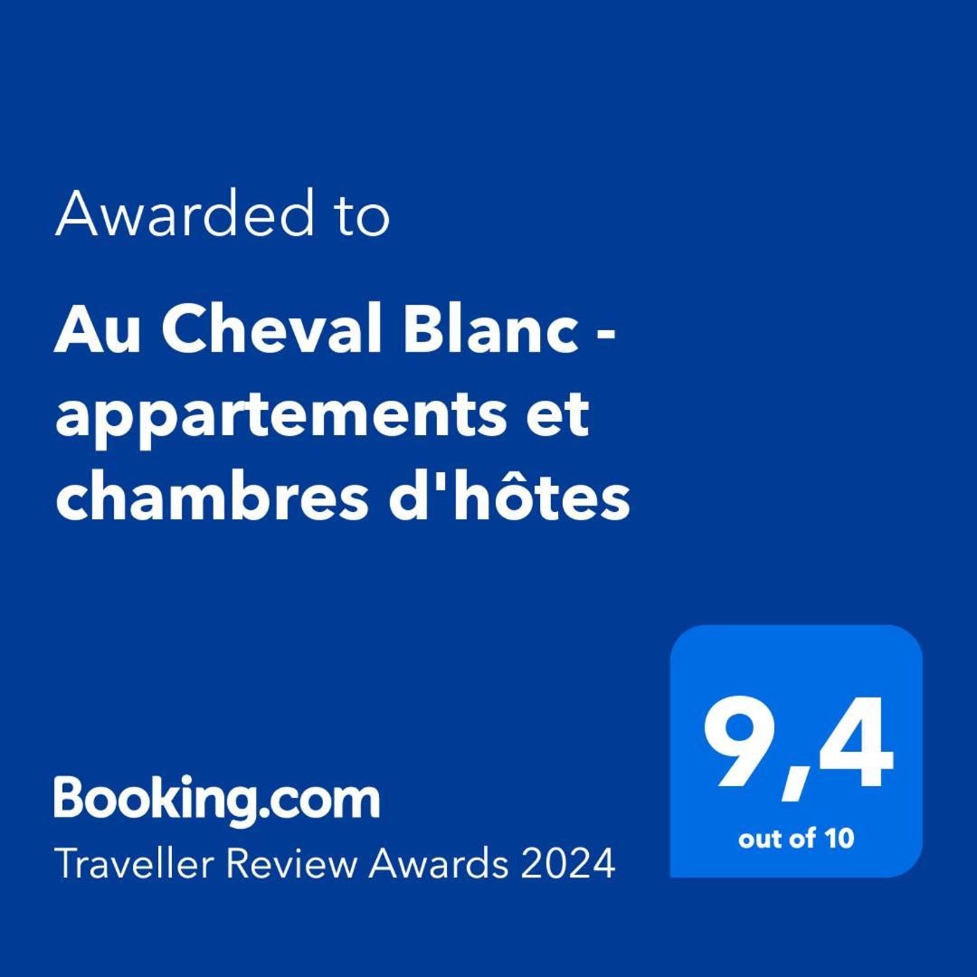 Au Cheval Blanc - Appartements Et Chambres D'Hotes アルベールヴィル エクステリア 写真