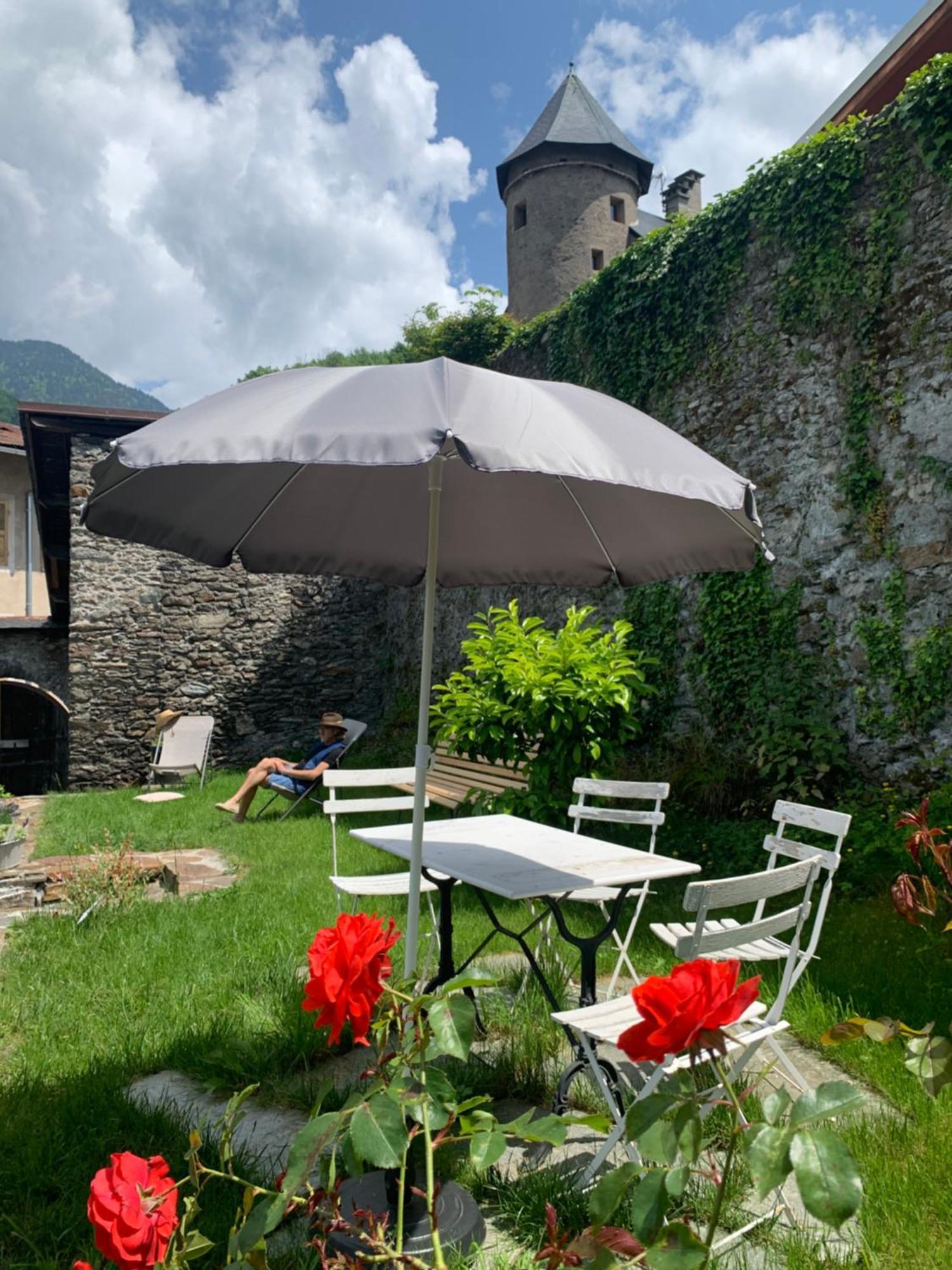 Au Cheval Blanc - Appartements Et Chambres D'Hotes アルベールヴィル エクステリア 写真